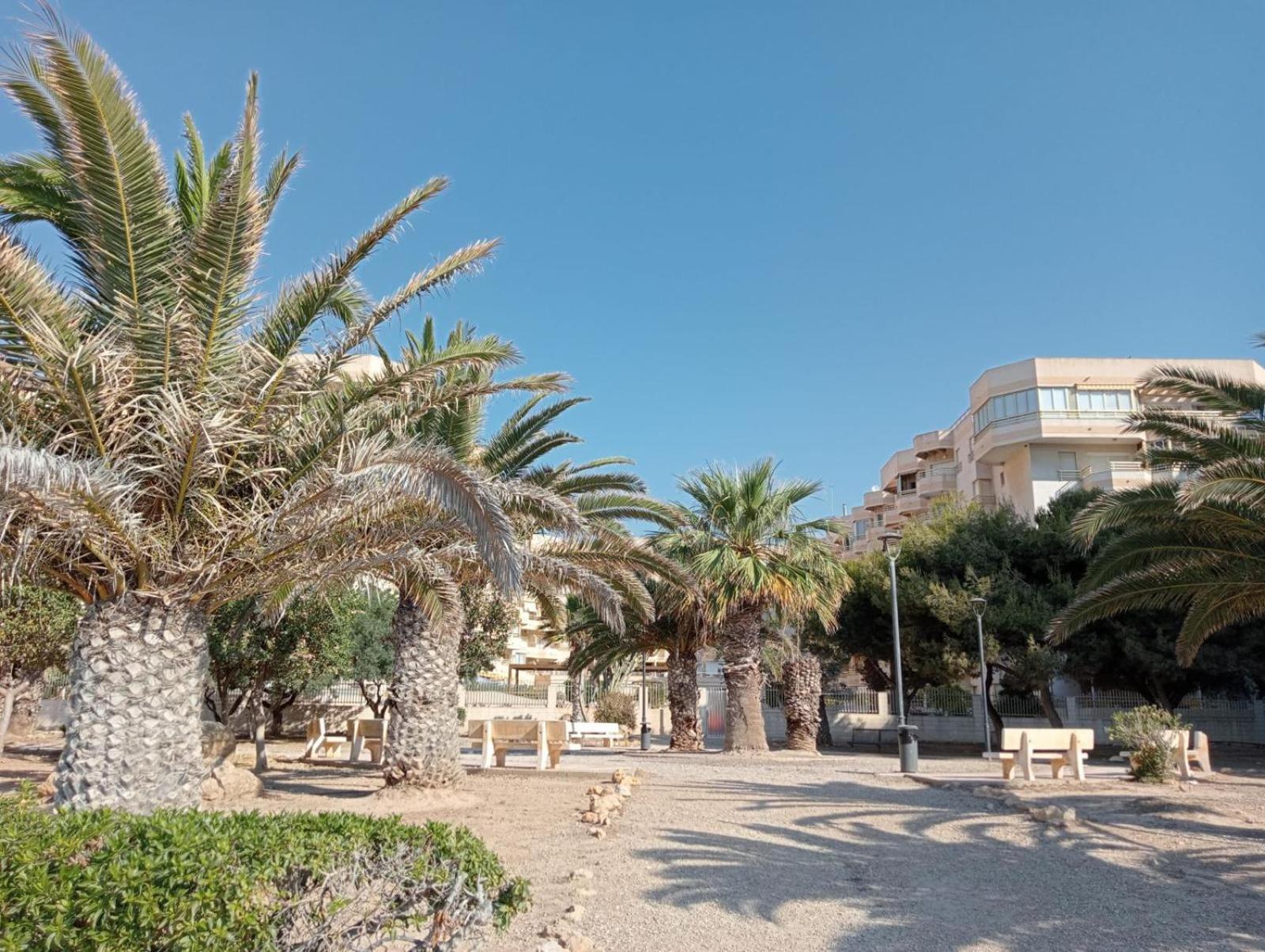 Balcon Del Mar Apartment Alicante Bagian luar foto